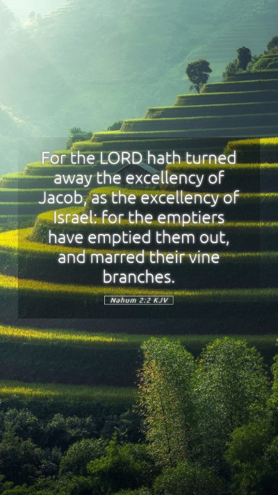 Picture 05 - Nahum 2:2 KJV Mobile Phone Wallpaper - For the LORD hath turned away the excellency of - Mobile Bible Verse Wallpaper