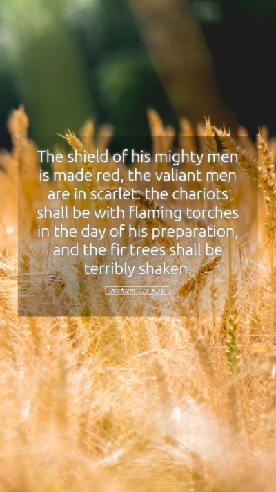 Picture 05 - Nahum 2:3 KJV Mobile Phone Wallpaper - The shield of his mighty men is made red, the - Mobile Bible Verse Wallpaper