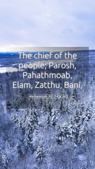 Picture 05 - Nehemiah 10:14 KJV Mobile Phone Wallpaper - The chief of the people; Parosh, Pahathmoab, - Mobile Bible Verse Wallpaper