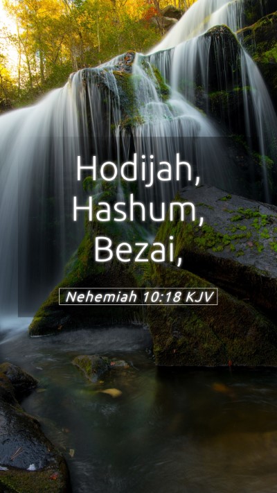 Picture 05 - Nehemiah 10:18 KJV Mobile Phone Wallpaper - Hodijah, Hashum, - Mobile Bible Verse Wallpaper
