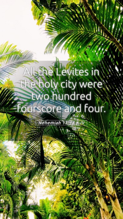 Picture 05 - Nehemiah 11:18 KJV Mobile Phone Wallpaper - All the Levites in the holy city were two hundred - Mobile Bible Verse Wallpaper