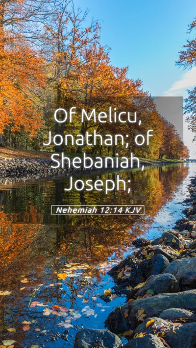 Picture 05 - Nehemiah 12:14 KJV Mobile Phone Wallpaper - Of Melicu, Jonathan; of Shebaniah, - Mobile Bible Verse Wallpaper