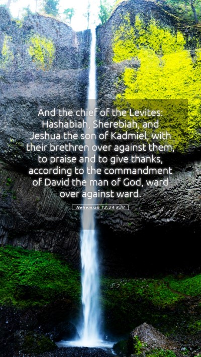 Picture 05 - Nehemiah 12:24 KJV Mobile Phone Wallpaper - And the chief of the Levites: Hashabiah, - Mobile Bible Verse Wallpaper