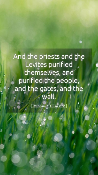 Picture 05 - Nehemiah 12:30 KJV Mobile Phone Wallpaper - And the priests and the Levites purified - Mobile Bible Verse Wallpaper