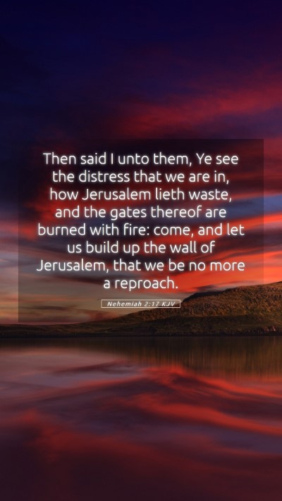 Picture 05 - Nehemiah 2:17 KJV Mobile Phone Wallpaper - Then said I unto them, Ye see the distress that - Mobile Bible Verse Wallpaper