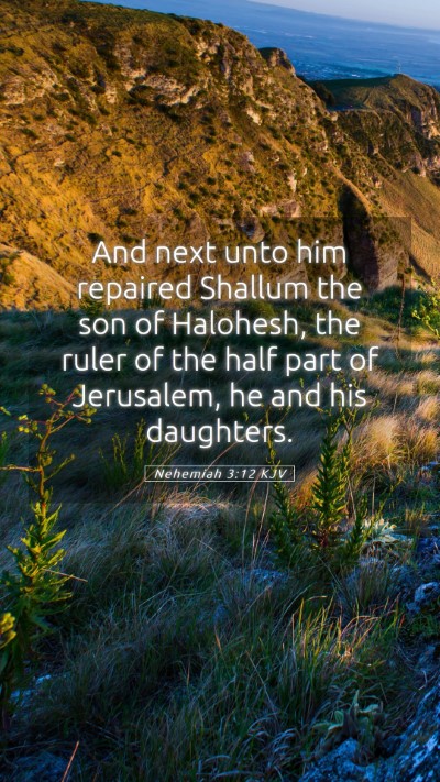 Picture 05 - Nehemiah 3:12 KJV Mobile Phone Wallpaper - And next unto him repaired Shallum the son of - Mobile Bible Verse Wallpaper
