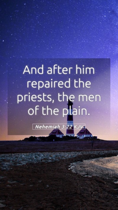 Picture 05 - Nehemiah 3:22 KJV Mobile Phone Wallpaper - And after him repaired the priests, the men of - Mobile Bible Verse Wallpaper