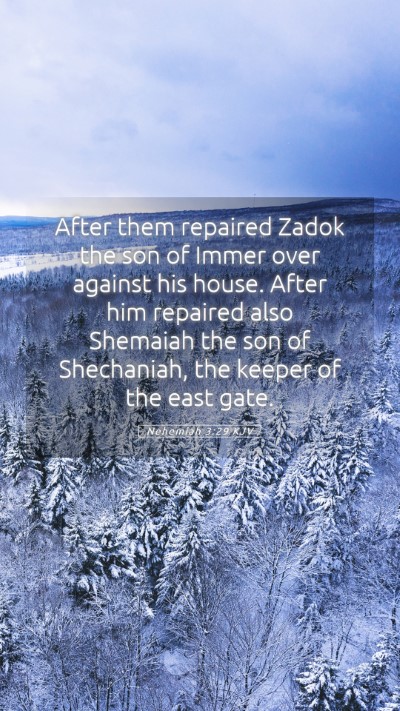 Picture 05 - Nehemiah 3:29 KJV Mobile Phone Wallpaper - After them repaired Zadok the son of Immer over - Mobile Bible Verse Wallpaper