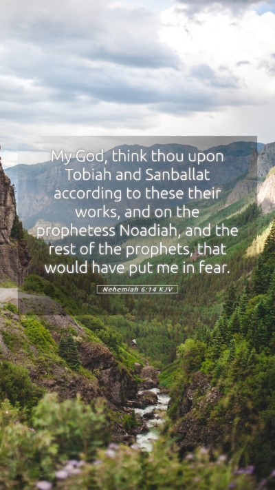Picture 05 - Nehemiah 6:14 KJV Mobile Phone Wallpaper - My God, think thou upon Tobiah and Sanballat - Mobile Bible Verse Wallpaper