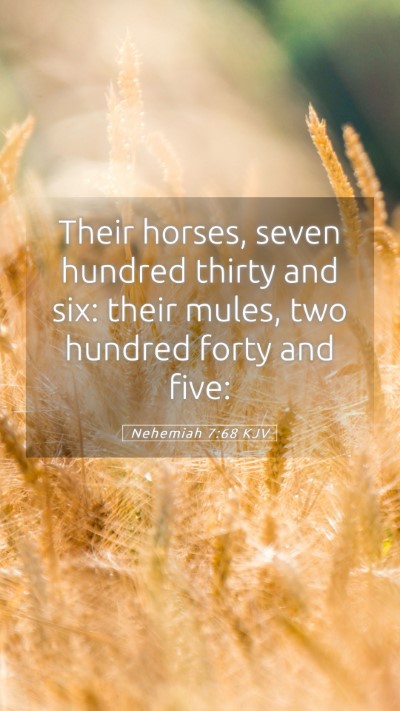 Picture 05 - Nehemiah 7:68 KJV Mobile Phone Wallpaper - Their horses, seven hundred thirty and six: their - Mobile Bible Verse Wallpaper