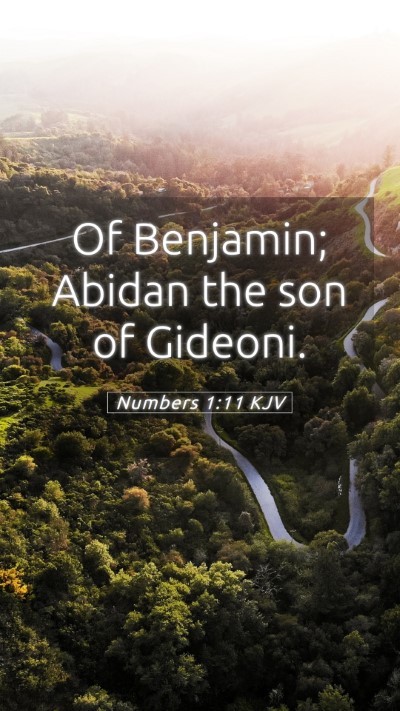 Picture 05 - Numbers 1:11 KJV Mobile Phone Wallpaper - Of Benjamin; Abidan the son of - Mobile Bible Verse Wallpaper
