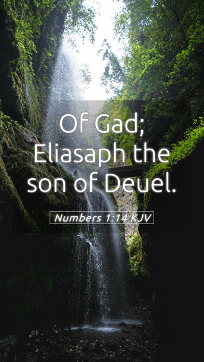 Picture 05 - Numbers 1:14 KJV Mobile Phone Wallpaper - Of Gad; Eliasaph the son of - Mobile Bible Verse Wallpaper