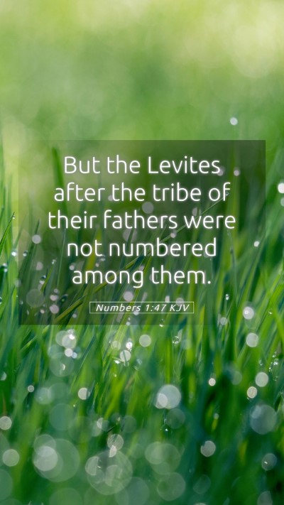 Picture 05 - Numbers 1:47 KJV Mobile Phone Wallpaper - But the Levites after the tribe of their fathers - Mobile Bible Verse Wallpaper