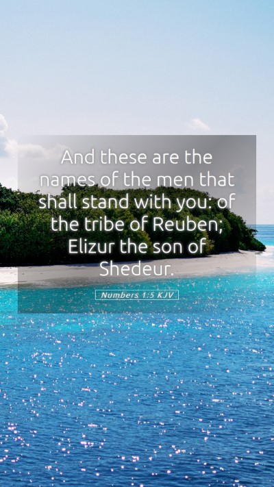 Picture 05 - Numbers 1:5 KJV Mobile Phone Wallpaper - And these are the names of the men that shall - Mobile Bible Verse Wallpaper