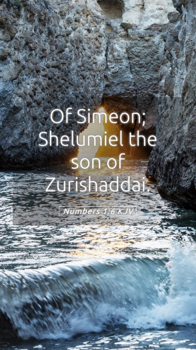 Picture 05 - Numbers 1:6 KJV Mobile Phone Wallpaper - Of Simeon; Shelumiel the son of - Mobile Bible Verse Wallpaper