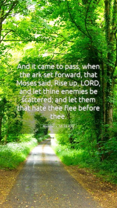 Picture 05 - Numbers 10:35 KJV Mobile Phone Wallpaper - And it came to pass, when the ark set forward, - Mobile Bible Verse Wallpaper