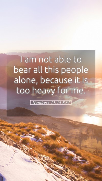 Picture 05 - Numbers 11:14 KJV Mobile Phone Wallpaper - I am not able to bear all this people alone, - Mobile Bible Verse Wallpaper