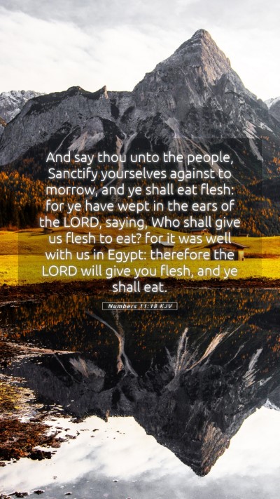 Picture 05 - Numbers 11:18 KJV Mobile Phone Wallpaper - And say thou unto the people, Sanctify yourselves - Mobile Bible Verse Wallpaper