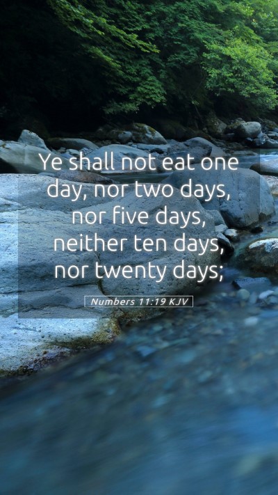 Picture 05 - Numbers 11:19 KJV Mobile Phone Wallpaper - Ye shall not eat one day, nor two days, nor five - Mobile Bible Verse Wallpaper