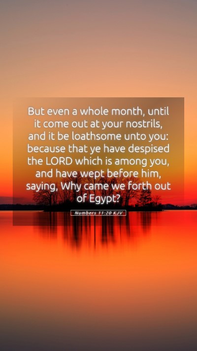 Picture 05 - Numbers 11:20 KJV Mobile Phone Wallpaper - But even a whole month, until it come out at your - Mobile Bible Verse Wallpaper