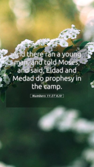 Picture 05 - Numbers 11:27 KJV Mobile Phone Wallpaper - And there ran a young man, and told Moses, and - Mobile Bible Verse Wallpaper