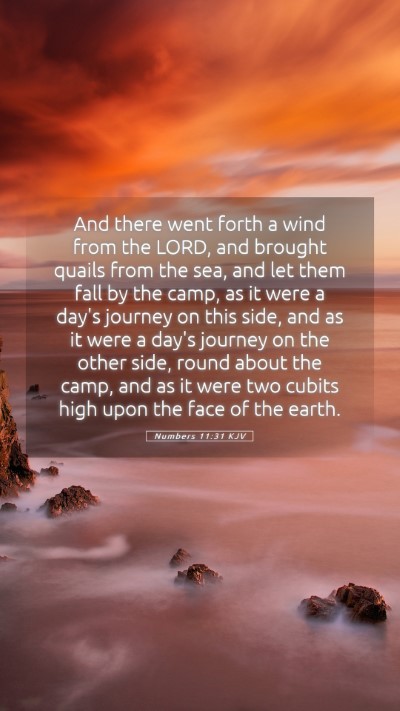 Picture 05 - Numbers 11:31 KJV Mobile Phone Wallpaper - And there went forth a wind from the LORD, and - Mobile Bible Verse Wallpaper