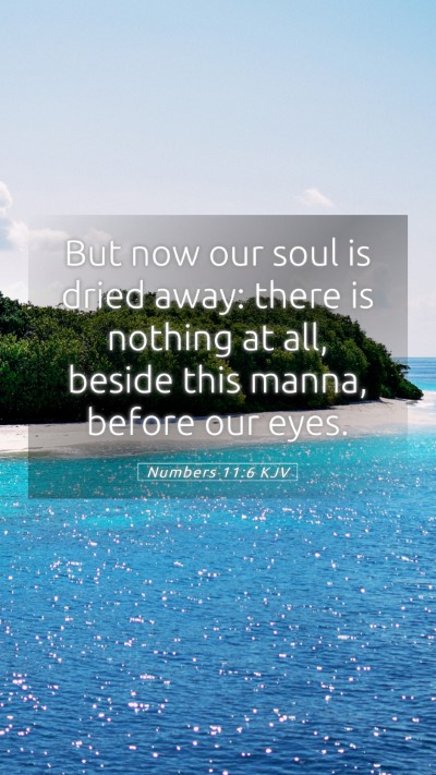 Picture 05 - Numbers 11:6 KJV Mobile Phone Wallpaper - But now our soul is dried away: there is nothing - Mobile Bible Verse Wallpaper