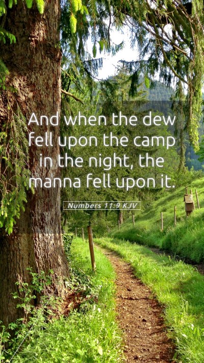 Picture 05 - Numbers 11:9 KJV Mobile Phone Wallpaper - And when the dew fell upon the camp in the night, - Mobile Bible Verse Wallpaper