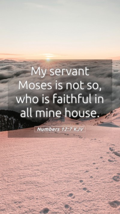 Picture 05 - Numbers 12:7 KJV Mobile Phone Wallpaper - My servant Moses is not so, who is faithful in - Mobile Bible Verse Wallpaper