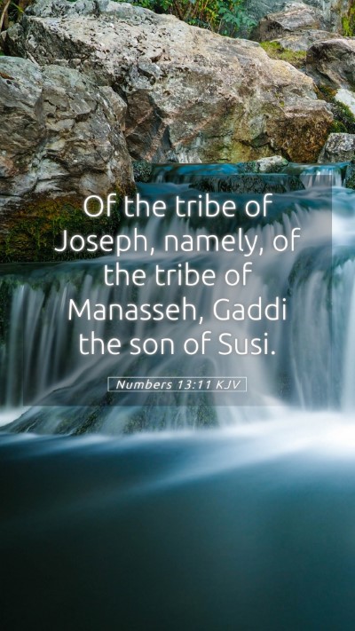 Picture 05 - Numbers 13:11 KJV Mobile Phone Wallpaper - Of the tribe of Joseph, namely, of the tribe of - Mobile Bible Verse Wallpaper