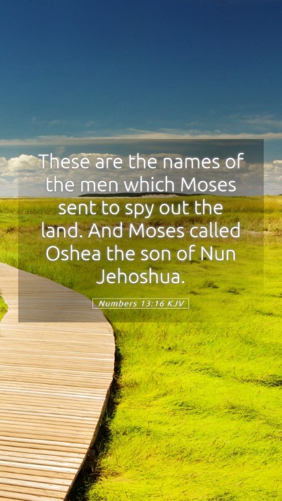 Picture 05 - Numbers 13:16 KJV Mobile Phone Wallpaper - These are the names of the men which Moses sent - Mobile Bible Verse Wallpaper
