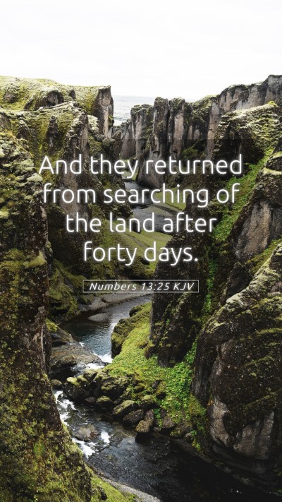 Picture 05 - Numbers 13:25 KJV Mobile Phone Wallpaper - And they returned from searching of the land - Mobile Bible Verse Wallpaper