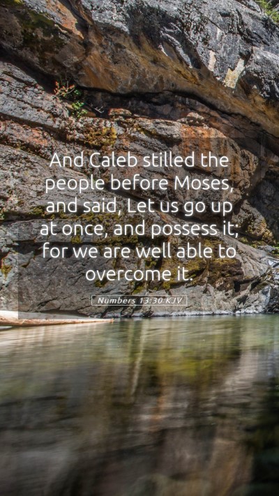 Picture 05 - Numbers 13:30 KJV Mobile Phone Wallpaper - And Caleb stilled the people before Moses, and - Mobile Bible Verse Wallpaper