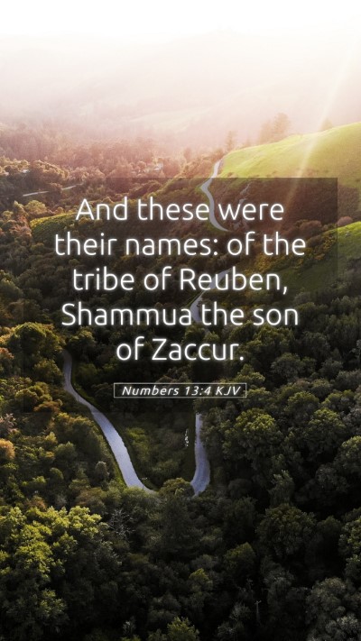 Picture 05 - Numbers 13:4 KJV Mobile Phone Wallpaper - And these were their names: of the tribe of - Mobile Bible Verse Wallpaper