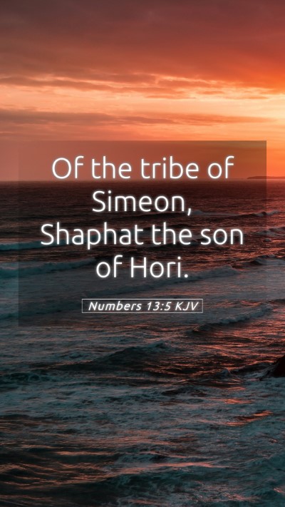 Picture 05 - Numbers 13:5 KJV Mobile Phone Wallpaper - Of the tribe of Simeon, Shaphat the son of - Mobile Bible Verse Wallpaper