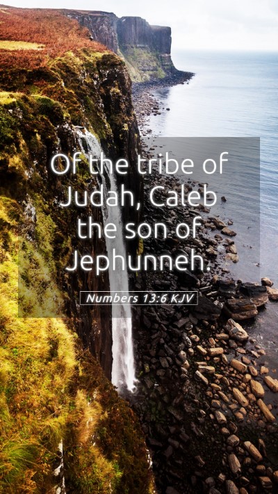 Picture 05 - Numbers 13:6 KJV Mobile Phone Wallpaper - Of the tribe of Judah, Caleb the son of - Mobile Bible Verse Wallpaper