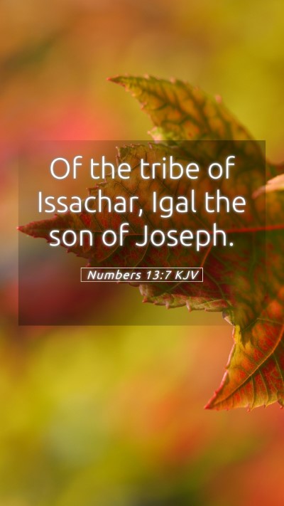 Picture 05 - Numbers 13:7 KJV Mobile Phone Wallpaper - Of the tribe of Issachar, Igal the son of - Mobile Bible Verse Wallpaper