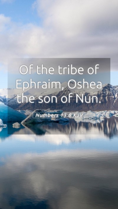 Picture 05 - Numbers 13:8 KJV Mobile Phone Wallpaper - Of the tribe of Ephraim, Oshea the son of - Mobile Bible Verse Wallpaper