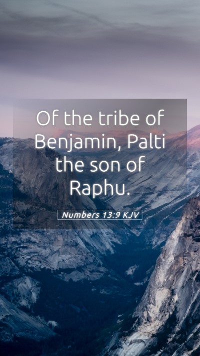 Picture 05 - Numbers 13:9 KJV Mobile Phone Wallpaper - Of the tribe of Benjamin, Palti the son of - Mobile Bible Verse Wallpaper