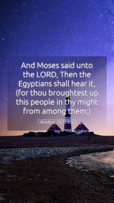 Picture 05 - Numbers 14:13 KJV Mobile Phone Wallpaper - And Moses said unto the LORD, Then the Egyptians - Mobile Bible Verse Wallpaper