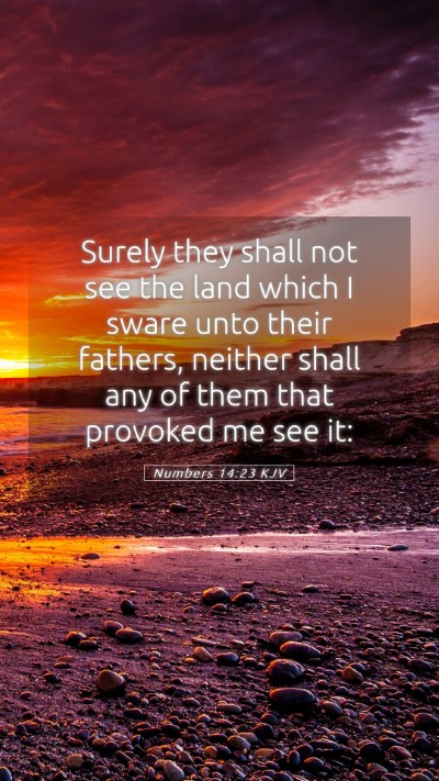 Picture 05 - Numbers 14:23 KJV Mobile Phone Wallpaper - Surely they shall not see the land which I sware - Mobile Bible Verse Wallpaper