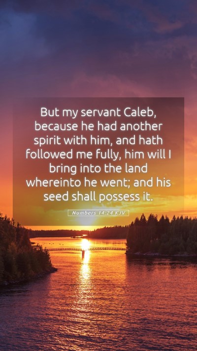 Picture 05 - Numbers 14:24 KJV Mobile Phone Wallpaper - But my servant Caleb, because he had another - Mobile Bible Verse Wallpaper