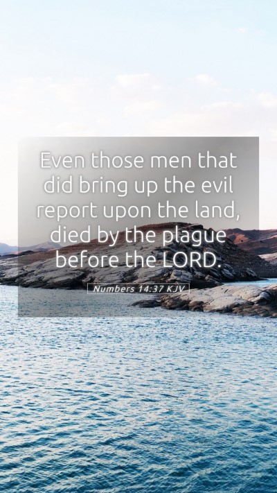 Picture 05 - Numbers 14:37 KJV Mobile Phone Wallpaper - Even those men that did bring up the evil report - Mobile Bible Verse Wallpaper