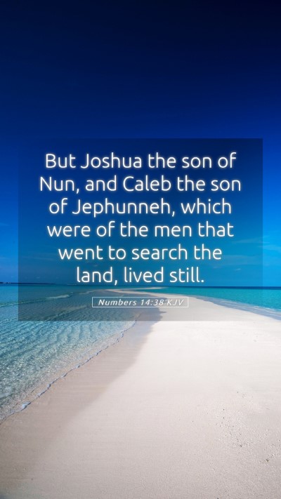 Picture 05 - Numbers 14:38 KJV Mobile Phone Wallpaper - But Joshua the son of Nun, and Caleb the son of - Mobile Bible Verse Wallpaper