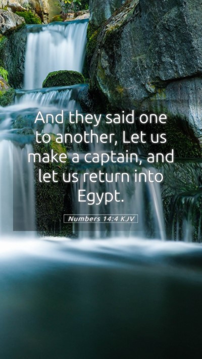 Picture 05 - Numbers 14:4 KJV Mobile Phone Wallpaper - And they said one to another, Let us make a - Mobile Bible Verse Wallpaper