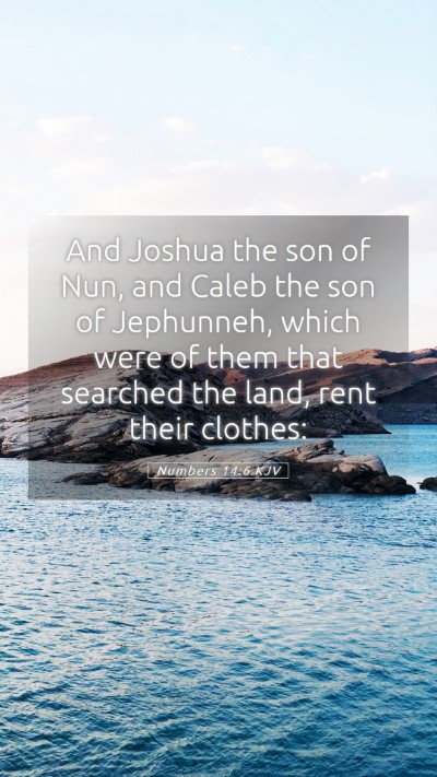 Picture 05 - Numbers 14:6 KJV Mobile Phone Wallpaper - And Joshua the son of Nun, and Caleb the son of - Mobile Bible Verse Wallpaper