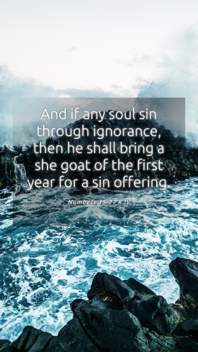 Picture 05 - Numbers 15:27 KJV Mobile Phone Wallpaper - And if any soul sin through ignorance, then he - Mobile Bible Verse Wallpaper