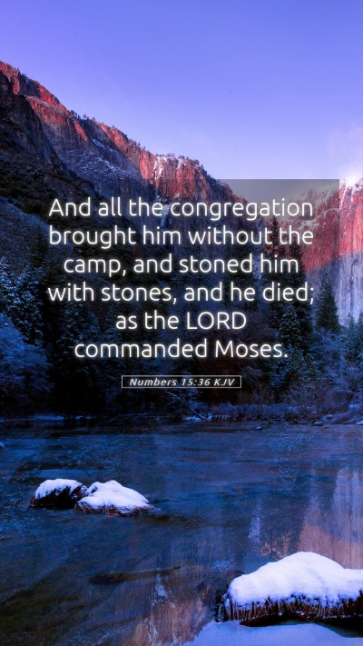Picture 05 - Numbers 15:36 KJV Mobile Phone Wallpaper - And all the congregation brought him without the - Mobile Bible Verse Wallpaper