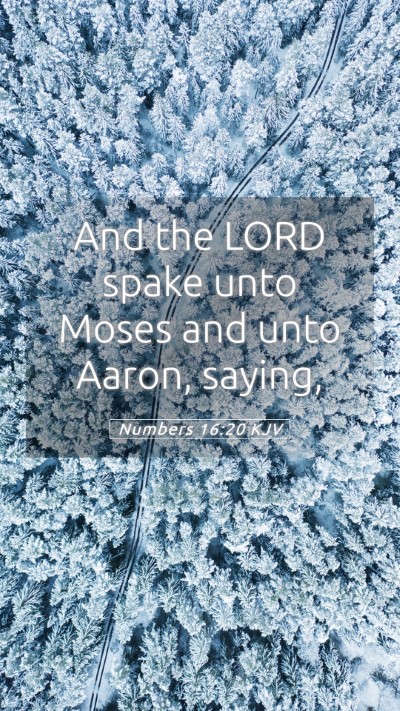 Picture 05 - Numbers 16:20 KJV Mobile Phone Wallpaper - And the LORD spake unto Moses and unto Aaron, - Mobile Bible Verse Wallpaper
