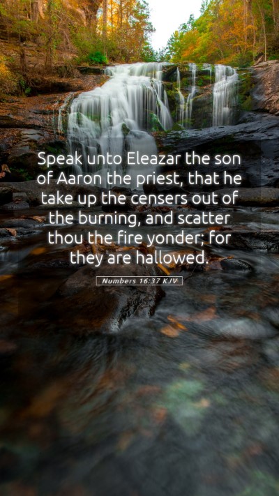 Picture 05 - Numbers 16:37 KJV Mobile Phone Wallpaper - Speak unto Eleazar the son of Aaron the priest, - Mobile Bible Verse Wallpaper